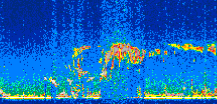 /calipso-imagery/data/BROWSE/production/V5-00/2008-03-26/2008-03-26_02-43-17_V5.00_2_thmb.png image missing