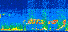 /calipso-imagery/data/BROWSE/production/V5-00/2008-03-26/2008-03-26_02-43-17_V5.00_3_thmb.png image missing