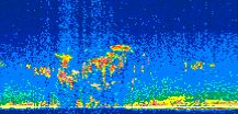 /calipso-imagery/data/BROWSE/production/V5-00/2008-03-26/2008-03-26_09-18-53_V5.00_2_thmb.png image missing