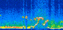 /calipso-imagery/data/BROWSE/production/V5-00/2008-03-26/2008-03-26_15-54-29_V5.00_3_thmb.png image missing