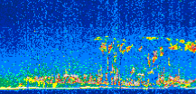 /calipso-imagery/data/BROWSE/production/V5-00/2008-03-26/2008-03-26_17-33-19_V5.00_2_thmb.png image missing