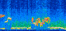 /calipso-imagery/data/BROWSE/production/V5-00/2008-03-26/2008-03-26_22-30-00_V5.00_3_thmb.png image missing