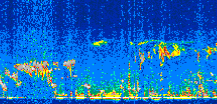 /calipso-imagery/data/BROWSE/production/V5-00/2008-03-27/2008-03-27_03-26-41_V5.00_2_thmb.png image missing