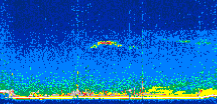 /calipso-imagery/data/BROWSE/production/V5-00/2008-03-27/2008-03-27_10-02-17_V5.00_2_thmb.png image missing