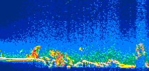/calipso-imagery/data/BROWSE/production/V5-00/2008-03-27/2008-03-27_14-58-57_V5.00_1_thmb.png image missing