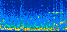 /calipso-imagery/data/BROWSE/production/V5-00/2008-03-27/2008-03-27_14-58-57_V5.00_2_thmb.png image missing