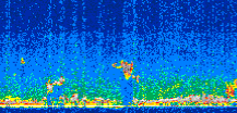/calipso-imagery/data/BROWSE/production/V5-00/2008-03-27/2008-03-27_14-58-57_V5.00_3_thmb.png image missing