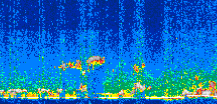/calipso-imagery/data/BROWSE/production/V5-00/2008-03-27/2008-03-27_16-37-52_V5.00_3_thmb.png image missing