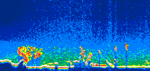/calipso-imagery/data/BROWSE/production/V5-00/2008-03-27/2008-03-27_18-16-48_V5.00_1_thmb.png image missing