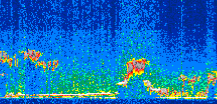 /calipso-imagery/data/BROWSE/production/V5-00/2008-03-27/2008-03-27_21-34-33_V5.00_3_thmb.png image missing