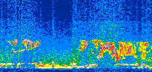 /calipso-imagery/data/BROWSE/production/V5-00/2008-03-27/2008-03-27_23-13-28_V5.00_3_thmb.png image missing