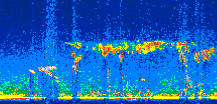 /calipso-imagery/data/BROWSE/production/V5-00/2008-03-31/2008-03-31_03-02-33_V5.00_2_thmb.png image missing