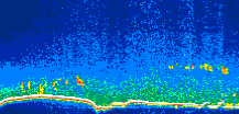 /calipso-imagery/data/BROWSE/production/V5-00/2008-03-31/2008-03-31_07-59-14_V5.00_1_thmb.png image missing