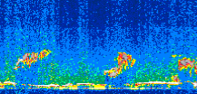 /calipso-imagery/data/BROWSE/production/V5-00/2008-03-31/2008-03-31_21-10-20_V5.00_3_thmb.png image missing