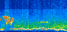 /calipso-imagery/data/BROWSE/production/V5-00/2008-05-03/2008-05-03_00-31-56_V5.00_3_thmb.png image missing