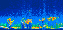 /calipso-imagery/data/BROWSE/production/V5-00/2008-05-03/2008-05-03_05-28-37_V5.00_1_thmb.png image missing
