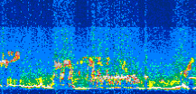 /calipso-imagery/data/BROWSE/production/V5-00/2008-05-03/2008-05-03_10-25-17_V5.00_3_thmb.png image missing