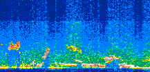 /calipso-imagery/data/BROWSE/production/V5-00/2008-05-03/2008-05-03_15-21-58_V5.00_3_thmb.png image missing