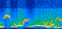 /calipso-imagery/data/BROWSE/production/V5-00/2008-05-03/2008-05-03_18-39-43_V5.00_3_thmb.png image missing