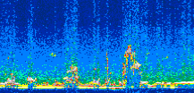 /calipso-imagery/data/BROWSE/production/V5-00/2008-05-03/2008-05-03_21-57-29_V5.00_2_thmb.png image missing