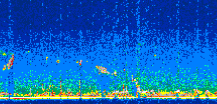 /calipso-imagery/data/BROWSE/production/V5-00/2008-05-03/2008-05-03_23-36-24_V5.00_2_thmb.png image missing