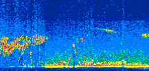 /calipso-imagery/data/BROWSE/production/V5-00/2008-05-13/2008-05-13_01-09-52_V5.00_2_thmb.png image missing