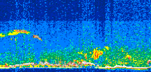 /calipso-imagery/data/BROWSE/production/V5-00/2008-05-13/2008-05-13_01-09-52_V5.00_3_thmb.png image missing