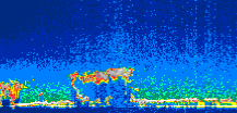 /calipso-imagery/data/BROWSE/production/V5-00/2008-05-13/2008-05-13_02-48-47_V5.00_1_thmb.png image missing