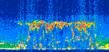 /calipso-imagery/data/BROWSE/production/V5-00/2008-05-13/2008-05-13_04-27-38_V5.00_2_thmb.png image missing