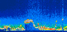 /calipso-imagery/data/BROWSE/production/V5-00/2008-05-13/2008-05-13_11-03-13_V5.00_1_thmb.png image missing