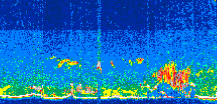 /calipso-imagery/data/BROWSE/production/V5-00/2008-05-13/2008-05-13_12-42-04_V5.00_3_thmb.png image missing