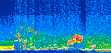/calipso-imagery/data/BROWSE/production/V5-00/2008-05-13/2008-05-13_15-59-49_V5.00_3_thmb.png image missing