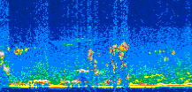 /calipso-imagery/data/BROWSE/production/V5-00/2008-05-13/2008-05-13_20-56-30_V5.00_2_thmb.png image missing