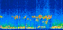 /calipso-imagery/data/BROWSE/production/V5-00/2008-05-13/2008-05-13_22-35-25_V5.00_2_thmb.png image missing