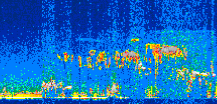 /calipso-imagery/data/BROWSE/production/V5-00/2008-05-14/2008-05-14_06-49-51_V5.00_2_thmb.png image missing