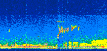 /calipso-imagery/data/BROWSE/production/V5-00/2008-05-14/2008-05-14_08-28-46_V5.00_2_thmb.png image missing