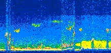 /calipso-imagery/data/BROWSE/production/V5-00/2008-05-14/2008-05-14_10-07-36_V5.00_2_thmb.png image missing
