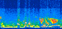 /calipso-imagery/data/BROWSE/production/V5-00/2008-05-14/2008-05-14_11-46-32_V5.00_3_thmb.png image missing