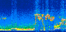 /calipso-imagery/data/BROWSE/production/V5-00/2008-05-14/2008-05-14_20-00-58_V5.00_2_thmb.png image missing