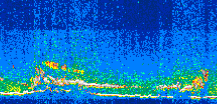 /calipso-imagery/data/BROWSE/production/V5-00/2008-05-14/2008-05-14_20-00-58_V5.00_3_thmb.png image missing
