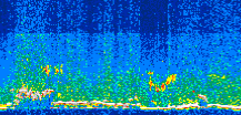 /calipso-imagery/data/BROWSE/production/V5-00/2008-05-15/2008-05-15_00-57-38_V5.00_3_thmb.png image missing