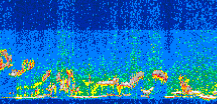 /calipso-imagery/data/BROWSE/production/V5-00/2008-05-15/2008-05-15_04-15-24_V5.00_3_thmb.png image missing
