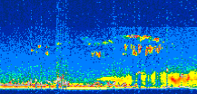 /calipso-imagery/data/BROWSE/production/V5-00/2008-05-15/2008-05-15_07-33-14_V5.00_2_thmb.png image missing