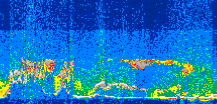 /calipso-imagery/data/BROWSE/production/V5-00/2008-05-15/2008-05-15_07-33-14_V5.00_3_thmb.png image missing