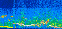 /calipso-imagery/data/BROWSE/production/V5-00/2008-05-15/2008-05-15_17-26-30_V5.00_3_thmb.png image missing
