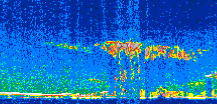 /calipso-imagery/data/BROWSE/production/V5-00/2008-05-15/2008-05-15_19-05-26_V5.00_2_thmb.png image missing