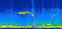 /calipso-imagery/data/BROWSE/production/V5-00/2008-05-15/2008-05-15_20-44-21_V5.00_2_thmb.png image missing
