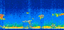 /calipso-imagery/data/BROWSE/production/V5-00/2008-05-27/2008-05-27_01-23-06_V5.00_2_thmb.png image missing