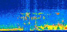 /calipso-imagery/data/BROWSE/production/V5-00/2008-05-27/2008-05-27_07-58-36_V5.00_2_thmb.png image missing