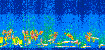 /calipso-imagery/data/BROWSE/production/V5-00/2008-05-27/2008-05-27_09-37-32_V5.00_3_thmb.png image missing